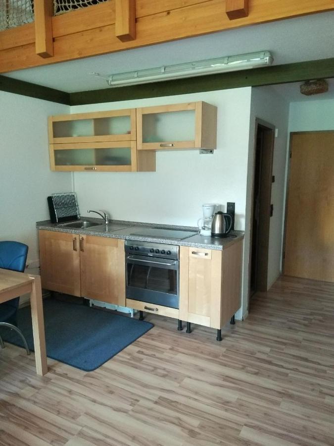 Haus Herzogenhorn - Hornberg Todtmoos Esterno foto