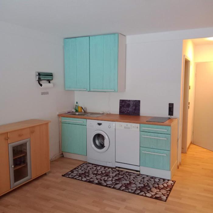 Haus Herzogenhorn - Hornberg Todtmoos Esterno foto